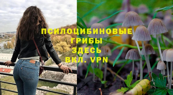 тгк Алексеевка