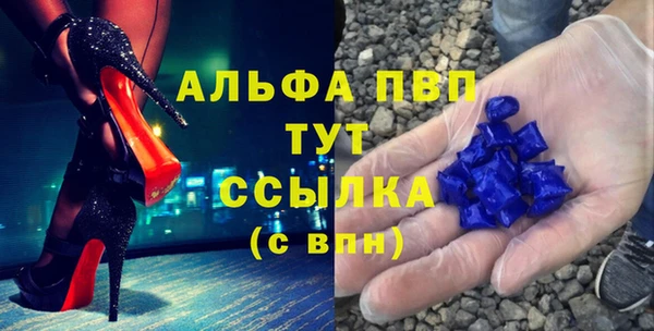 гашик Алексин