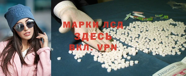 гашик Алексин