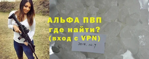 гашик Алексин