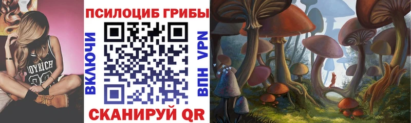 продажа наркотиков Кола Псилоцибиновые грибы прущие грибы